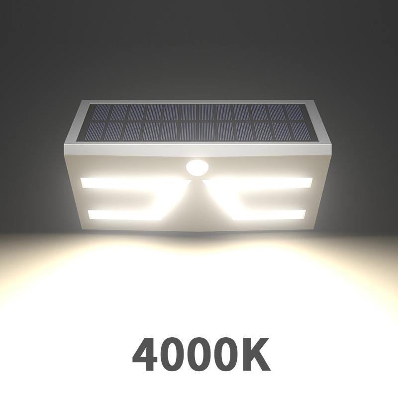 Coquille blanche naturellement blanche