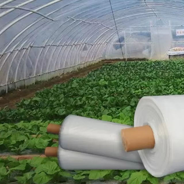 UV - Resistance PE/PET/PO/EVA/PEFT Agricultural Film for Cover Greenhouse Film