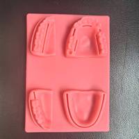 Kit de pratique de suture dentaire, modèle anatomique médical en silicone pour les écoles