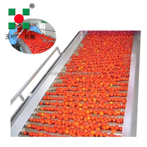 Nhà máy trực tiếp iqf Dây chuyền đóng băng-Thiết bị chế biến rau quả công suất cao - Product Image 2