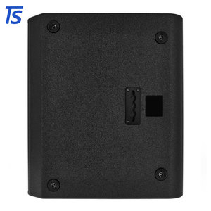 Altavoz Pasivo C15 de 15 Pulgadas para Prácticas de Bandas de Marcha Profesionales o Conciertos a Gran Escala - Product Image 4