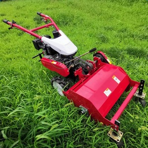 Fabrika doğrudan 173cc 4-Stroke endüstriyel sınıf motor Orchard ot temizleme çim dönen özelliği ile çim biçme makinesi makinesi - Product Image 3