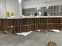 Rouleaux de vinyle autocollants en PVC, pelables et adhésifs, imperméables, résistants à l'humidité et aux moisissures, insonorisants, papier peint moderne à motifs floraux