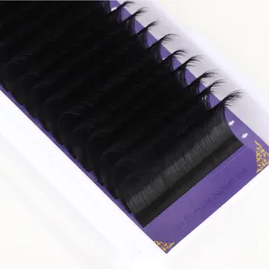 SP EYELASH Individual Faux Mink Volume Lash 0.05 0.07mm C D M L Curl Matte Dark Black Wholesale Classic Lash Extensions Supplies