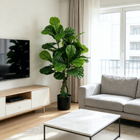 Immergrüner Künstlicher Ficus Lyrata Baum Großhandel Dekoratives Objekt für Party Hotel Garten Event Heimdekoration Hochzeitsgeschenk