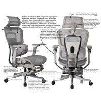 Chaise de bureau pivotante ergonomique avec support lombaire en maille, livraison transfrontalière en 10 jours, accoudoirs réglables 7D, structure métallique