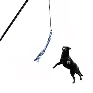 Outdoor Zware Huisdier Interactieve Training Oefenen Trekken Uitschuifbare Flirt Pole Touw Sleepboot Hond Speelgoed