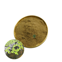Bubuk Protein Duckweed MOQ Rendah Bubuk Lemna Minor Bubuk Duckweed Biasa