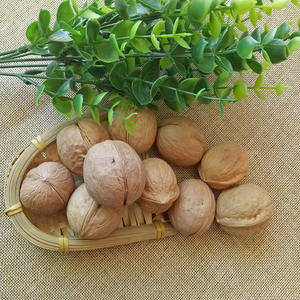 เปลือกวอลนัตแบบบางทำจากกระดาษสามารถทำจากวอลนัทออแกนิก - Product Image 4