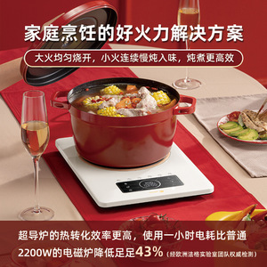 Table de cuisson à induction en céramique Favor, 12 pouces, commande tactile, pour la maison et les dortoirs, avec un seul brûleur - Product Image 2