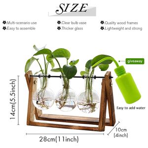 Terrario para Plantas con Soporte de Madera, Florero de Vidrio con 3 Bulbos, Soporte Giratorio de Metal para Mesa, para Jardín, Oficina, Regalo Promocional - Product Image 2