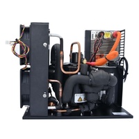 Livraison à domicile 48v 72v 96v 312v  Dc 2000W  Mini refroidisseur d'eau pour la gestion thermique Refroidisseur de batterie de véhicule électrique