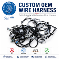 Kit Kabel Kustom 2000W Tahan Suhu Tinggi PVC/Nylon IP67 untuk Motor Brushless Kendaraan Listrik Elektronik