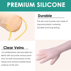 แขนเทรนนิ่ง IV โมเดลสอนการฝึกด้านการศึกษาทางการแพทย์ - Product Image 5