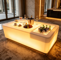 Fabricant de meubles de bar en plastique PE avec LED RGB, table à glaçons LED pour bar à domicile, ensemble de meubles élégants pour les soirées et les divertissements