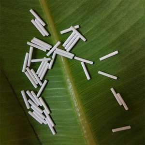 Varilla de electrodo de referencia de cerámica porosa para Analizadores - Product Image 6