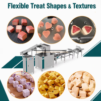 Machine d'extrusion à froid automatique pour friandises pour chiens, en acier inoxydable SUS304