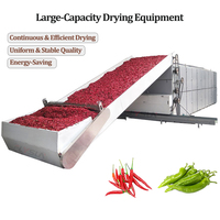 Machine de séchage de piments à faible consommation pour la déshydratation des piments rouges et des poivrons verts, sécheuse à bande à pompe à chaleur écoénergétique