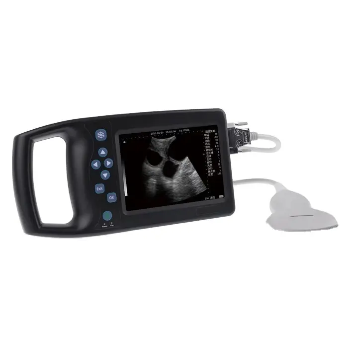 Guangzhou Günstige tragbare Handheld einfach scannen Tier Tierarzt Ultraschall-Scanner Maschine Preis