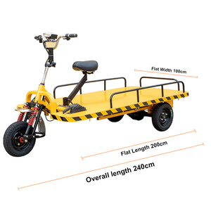 Oh My God Mom Nuovo Carrello Elettrico a Piattaforma in Acciaio, Capacità di Carico 800kg, Triciclo a Pianale per un Trasporto Merci Più Facile - Product Image 2
