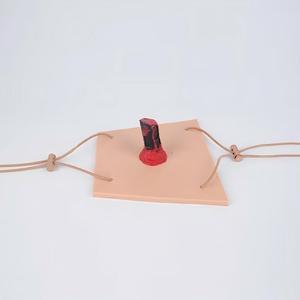 Modèle d'entraînement aux blessures pénétrantes des membres avec corps étranger intégré pour la formation aux premiers secours en cas d'urgence - Product Image 3