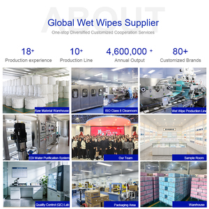 Toallitas Húmedas <span class=keywords><strong>para</strong></span> Bebé de Bambú al por Mayor, 72 Hojas, Ecológicas, Sin Perfume, Hipoalergénicas, con 99% Agua Pura - Product Image 5