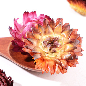 Vente en gros usine de tisane de fleurs séchées d'<span class=keywords><strong>Helichrysum</strong></span> <span class=keywords><strong>Bracteatum</strong></span> de qualité supérieure - Product Image 6