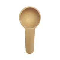 Cuillère en bois ronde miniature moderne et écologique de 2 ml, 5 ml, 10 ml pour la crème glacée, le miel, le lait en poudre