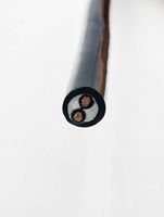 Herstellerdirektverkauf von 2-adrigem Verschleißfestem Hochflexiblem PVC-Steuerkabel für Industrieautomation und Roboterausrüstung