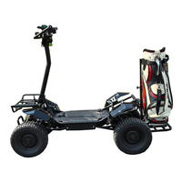 Carro de Golf Plegable de 4000W a Precio de Fábrica, Mini Carro de Golf de 1 Plaza, Buggy de Golf 60V 4x4, Vehículo Utilitario de 1 Plaza, Carro de Golf Eléctrico de 4 Ruedas