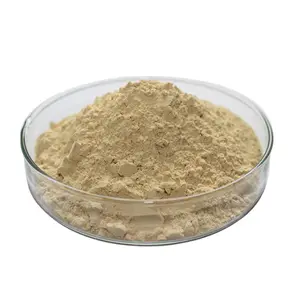 ginseng root extract, Ginseng Extract Powder Spec.: 5%-80% Ginsenosides