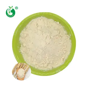 China Supplier Wholesale Price Food Additives 85% Protein Organic Rice Protein Powder