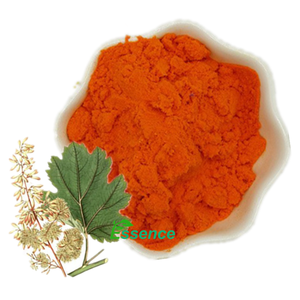 Extrait de Sanguinarine de Haute Pureté 40% 50% 60% Extrait de Plumepoppy Extrait de <span class=keywords><strong>Macleaya</strong></span> Cordata Poudre - Product Image 1