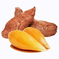 Food Grade Hoge Zuiverheid Grote Voorraad Worst-Lelie Fruitpoeder Yacon Vruchtensap Poeder Volledig In Water Oplosbaar