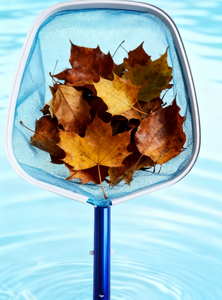 Épuisette à feuilles en aluminium <span class=keywords><strong>Jackbo</strong></span> Premium pour piscines hors sol - Outil de nettoyage de piscine écologique - Product Image 4