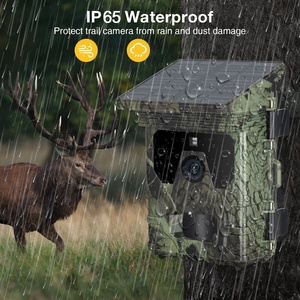Caméra de chasse solaire 4G LTE HC-600Pro 4G avec alimentation solaire et étanche, caméra de chasse robuste avec carte SIM HC-812Pro HC600PRO solaire pour extérieur - Product Image 3