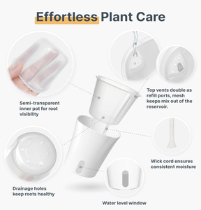 Vente en gros de pots de plantes en plastique transparents carrés de 7,5 cm de haute qualité, pots auto-arrosants blancs pour <span class=keywords><strong>jardin</strong></span> d'intérieur - Product Image 3