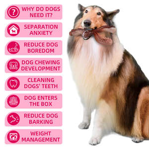 Dayanıklı çiğnemek dayanıklı köpek oyuncak | TPR <span class=keywords><strong>Bunny</strong></span> kulak tedavi orta ve büyük köpekler için dokulu diş temizleme tasarımı ile çiğnemek - Product Image 4