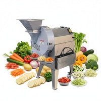 Fabrieksdirecte prijs multifunctionele friet- en fruitblokjes snijmachine, voedselverwerker & groentesnijder voor het snijden