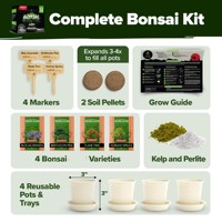 Vente en gros de bonsaï arbre kit de démarrage de plantes vivantes ferme pour la maison jardinage de légumes plantes d'intérieur cadeaux de jardinage d'héritage