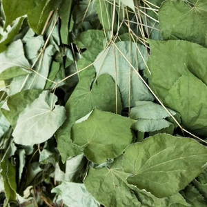 Epimediumodm อาหารเสริม Epimedium จากธรรมชาติบริสุทธิ์อาหารเสริม Epimedium แคปซูลสำหรับผู้ชายเพื่อสุขภาพ - Product Image 2