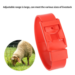 Nouveau ruban de marquage d'identification des animaux colorés sangles de cheville de bétail en plastique mouton chèvre bandes de jambe anneau de pied - Product Image 4