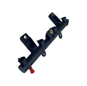 Tuyau à rampe commune 198542 9655833580 POUR Peugeot 1007 106 206 207 307 POUR Citroen C2 <span class=keywords><strong>C3</strong></span> forocorsa - Product Image 2