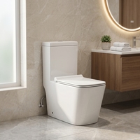 WC en céramique moderne et économique, résistant aux rayures, avec siphon en P et en S