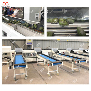 Machine de tri et de calibrage automatique industrielle pour fraises, avocats, fruits, oranges, trieuse d'avocats, séchage et tri pour les avocats - Product Image 3