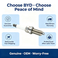 Bougies d'allumage Iridium BYD pour Qin Plus Song Plus DM-i 1.5L, OE 13505385-00, Allumage stable, démarrage à froid, longue durée de vie 80000KM