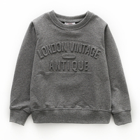 Sudadera con capucha para hombre, de algodón 100%, con cuello redondo, personalizada, en relieve 3d, venta al por mayor