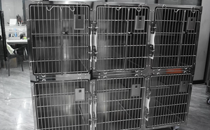Articolo di vendita caldo-<span class=keywords><strong>gabbia</strong></span> per <span class=keywords><strong>gatti</strong></span> in acciaio inossidabile per animali da compagnia ospedale per animali domestici - Product Image 3
