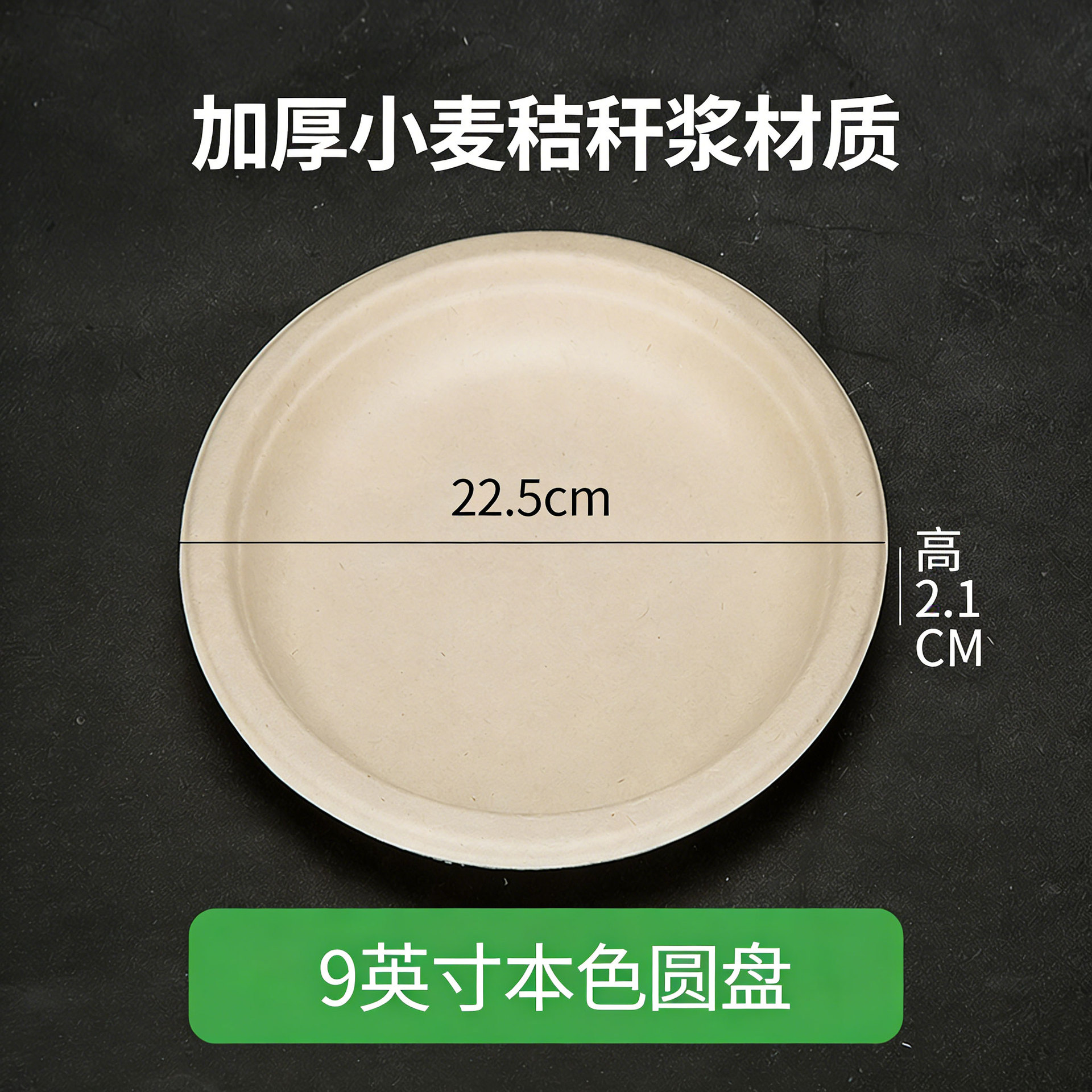 Assiette épaisse de 9 pouces (22,5 cm)
