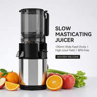 OEM 250W AC-motor Hoge Opbrengst 5,11 Inch Brede Invoeropening Koudgeperste Slow Juicer RVS Slow Juicer Machine